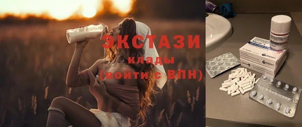 ГАЛЛЮЦИНОГЕННЫЕ ГРИБЫ Бородино