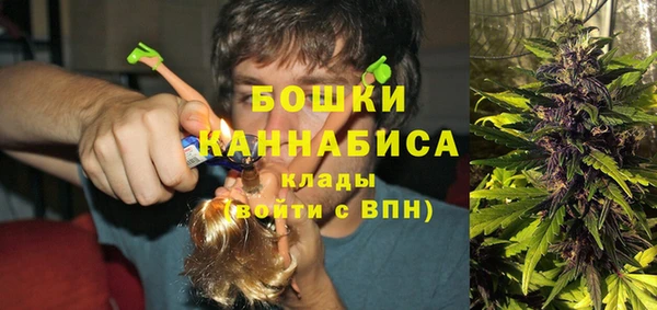 ГАЛЛЮЦИНОГЕННЫЕ ГРИБЫ Бородино