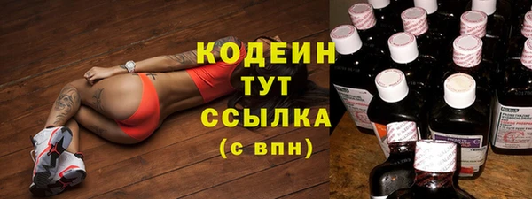 ГАЛЛЮЦИНОГЕННЫЕ ГРИБЫ Бородино