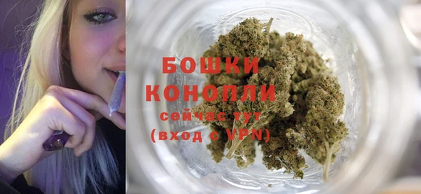 ГАЛЛЮЦИНОГЕННЫЕ ГРИБЫ Бородино